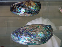 Μουσείο θαλάσσης Κέρκυρας φωτογραφίες