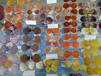 Μουσείο θαλάσσης Κέρκυρας φωτογραφίες