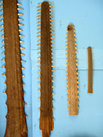 Μουσείο θαλάσσης Κέρκυρας φωτογραφίες